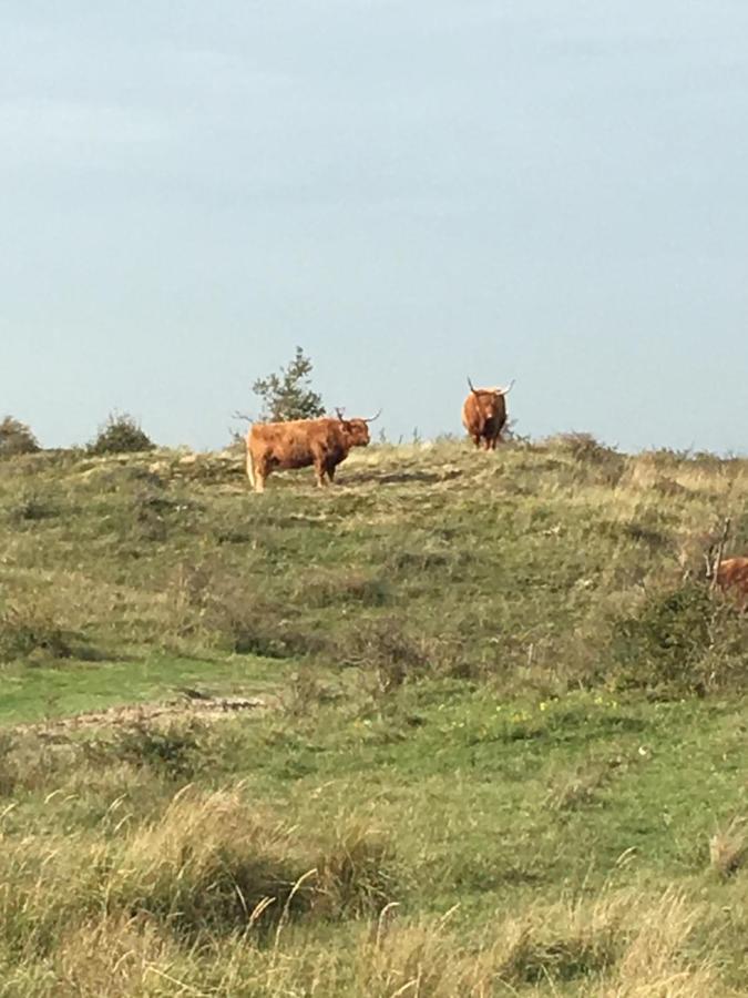 Oostvoornsch Gastenverblijf Oostvoorne Eksteriør bilde