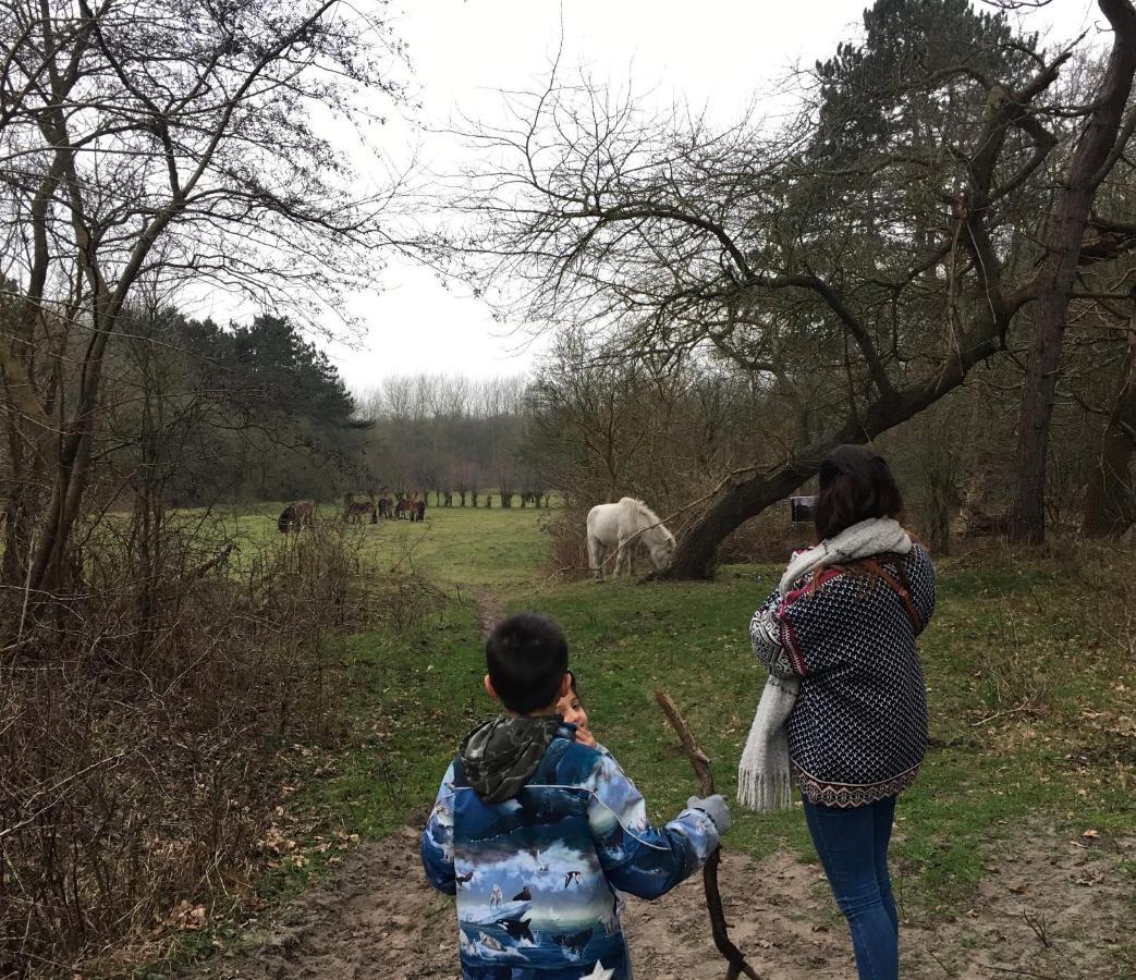 Oostvoornsch Gastenverblijf Oostvoorne Eksteriør bilde