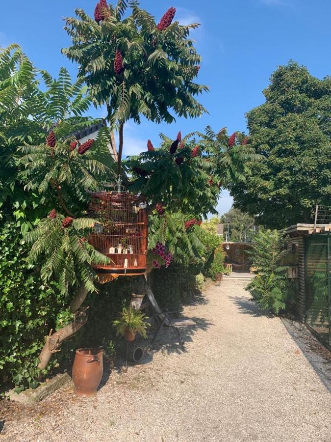 Oostvoornsch Gastenverblijf Oostvoorne Eksteriør bilde